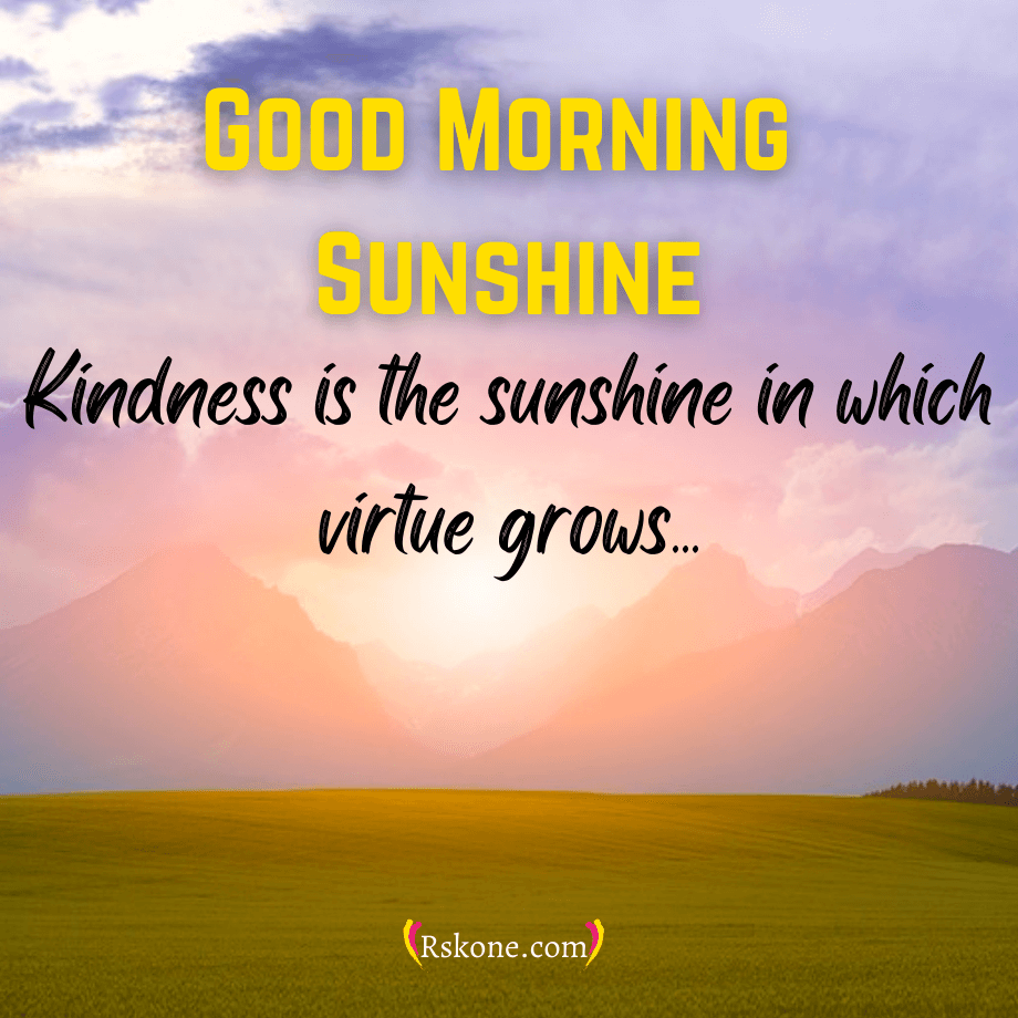 920x920 Beautiful Good Morning Sunshine Image, Pics, Wishes,