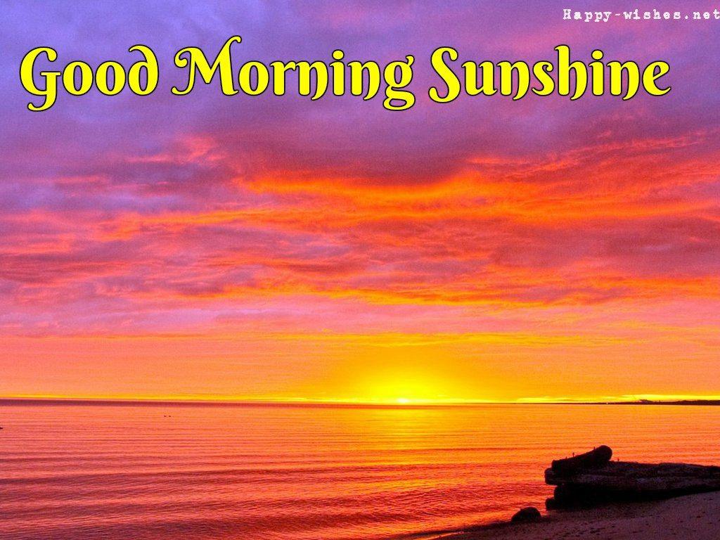 1024x768 Good Morning Sunshine Image