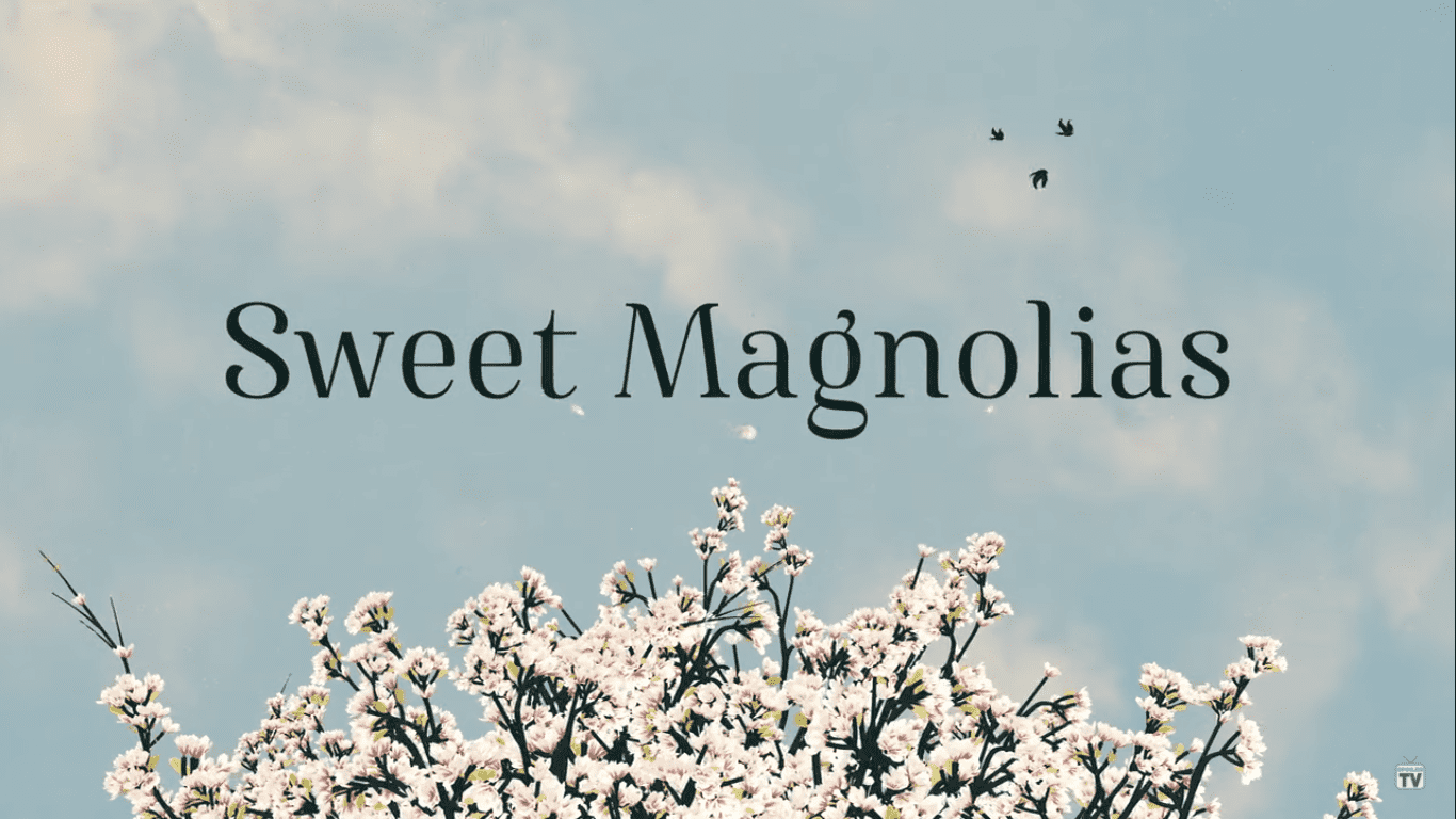 1366x768 Sweet Magnolias': Meet JoAnna Swisher, Brooke Elliott, Heather Headley and the cast of Netflix's drama series