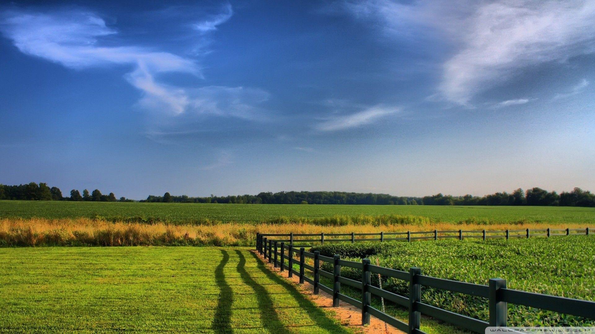 Farm Field Wallpapers Top Free Farm Field Backgrounds Wallpaperaccess