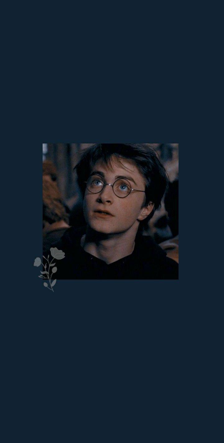720x1423 Harry Potter aesthetic wallpaper. Harry potter engraçado, Imagens harry potter, Harry potter elenco