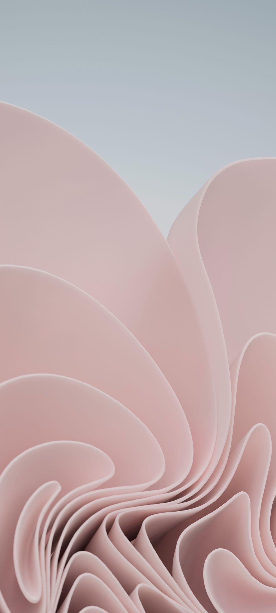 1080x2400 Free iphone wallpaper, iPhone wallpaper