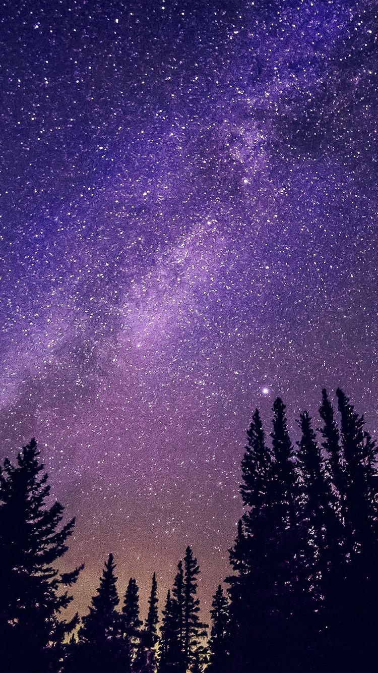 750x1334 iPhone X wallpaper. night starry sky aurora winter blue purple