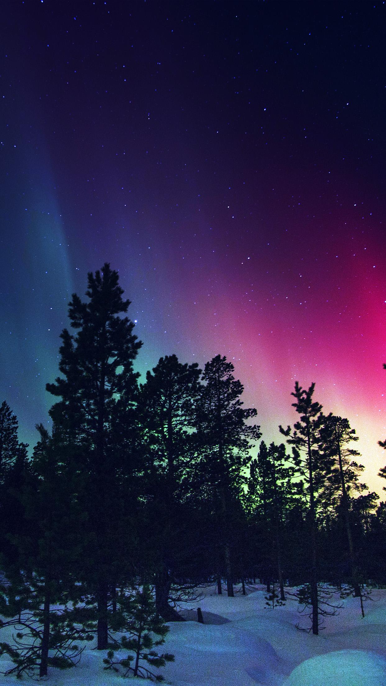1242x2208 iPhone X wallpaper. snow sky aurora night winter christmas blue