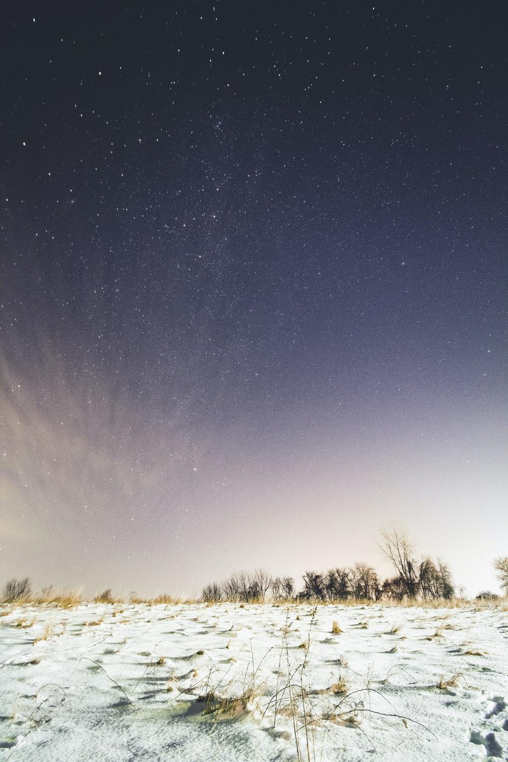 1000x1500 Snow Covered Ground Under Sky Full Of Stars Photo