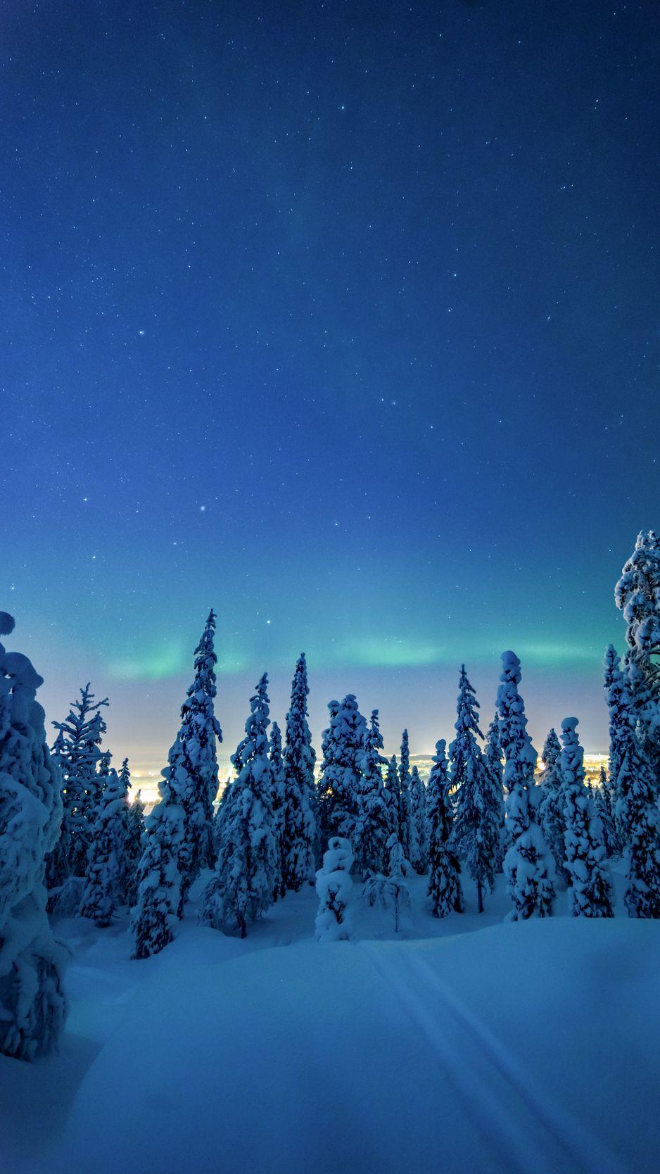 938x1668 Download Wallpaper 938x1668 Trees, Snow, Winter, Night, Landscape Iphone 8 7 6s 6 For Parallax HD Background