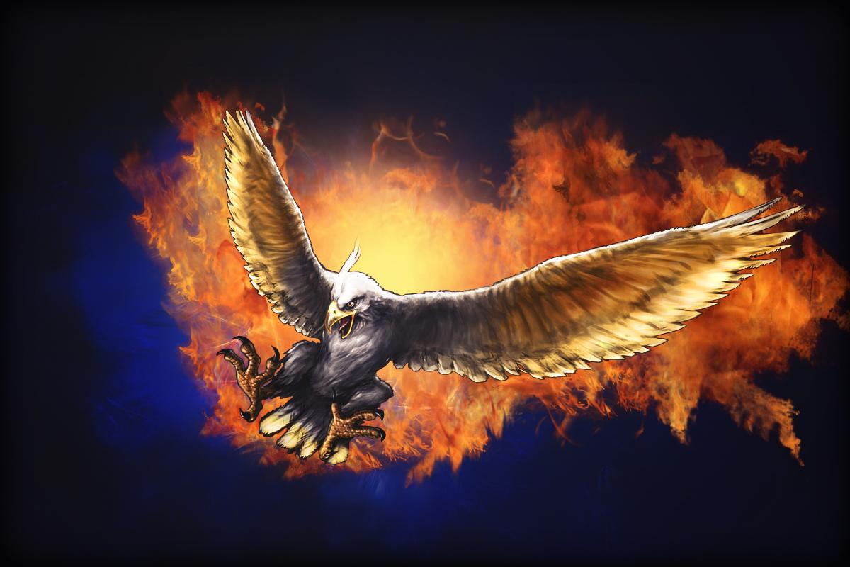 1200x800 Fire Eagle Background Wallpaper 61365