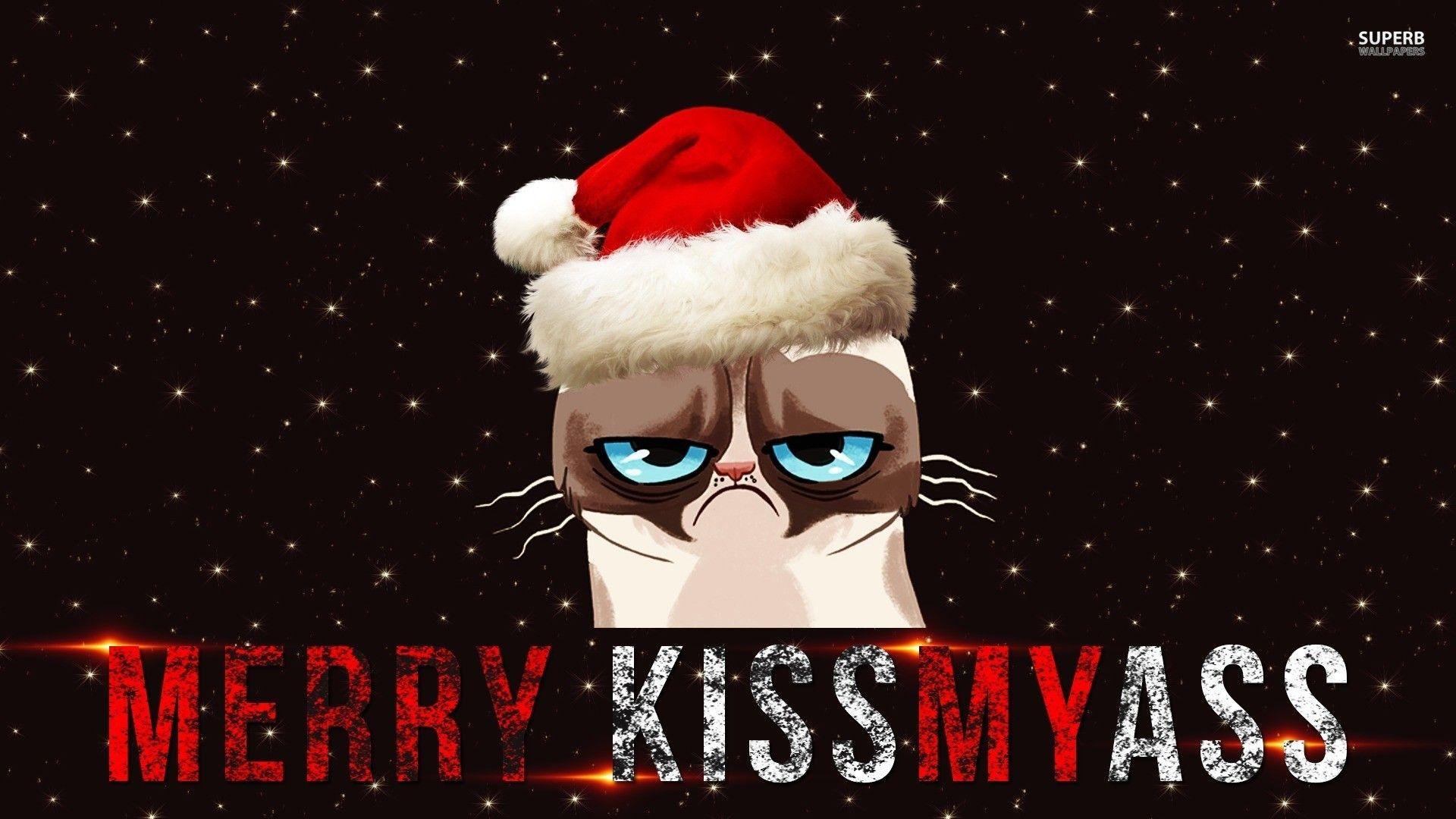 1920x1080 Christmas Cat Wallpaper