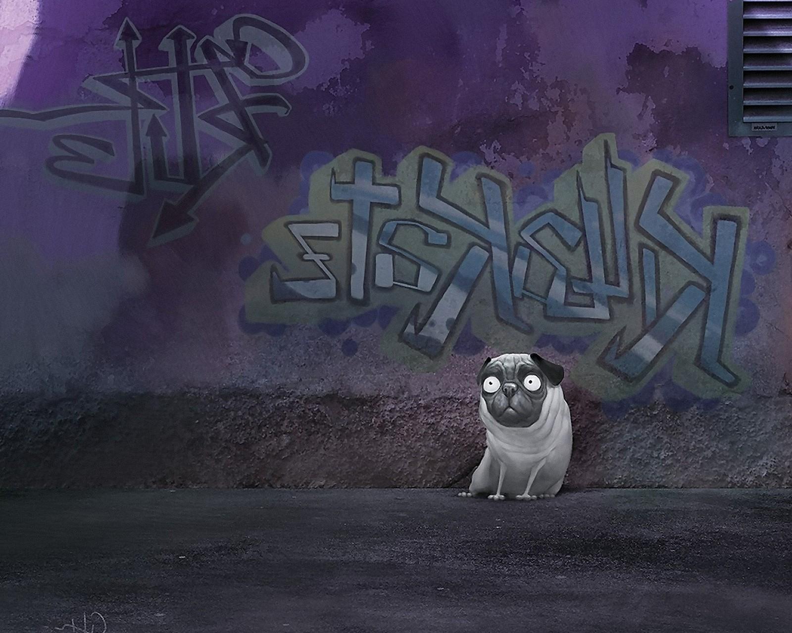1600x1280 Free download Funny pug cartoon humor cute wallpaper 1600x1280 39964 [1600x1280] for your Desktop, Mobile & Tablet. Explore Cartoon Pugs Wallpaper. Cartoon Pugs Wallpaper, Black Pugs Wallpaper, Cartoon Wallpaper Cartoon Picture