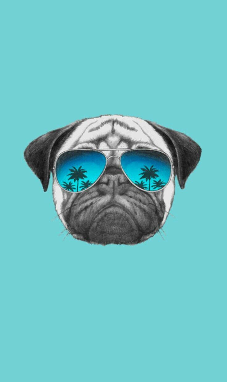 736x1237 Fondo de pantalla #pug. Pug wallpaper, Pugs, Dog wallpaper