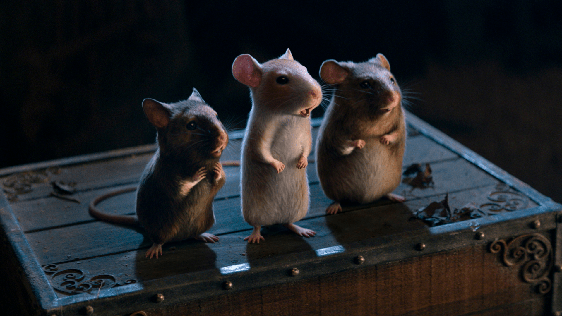 1920x1080 Amazon's 'Cinderella' is more manipulative than magical: Review