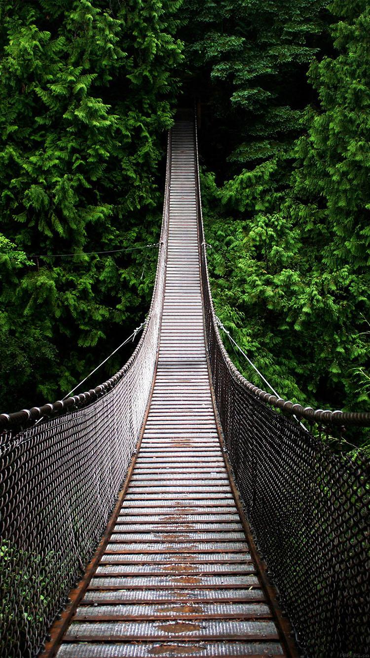 750x1334 one way home mountain nature