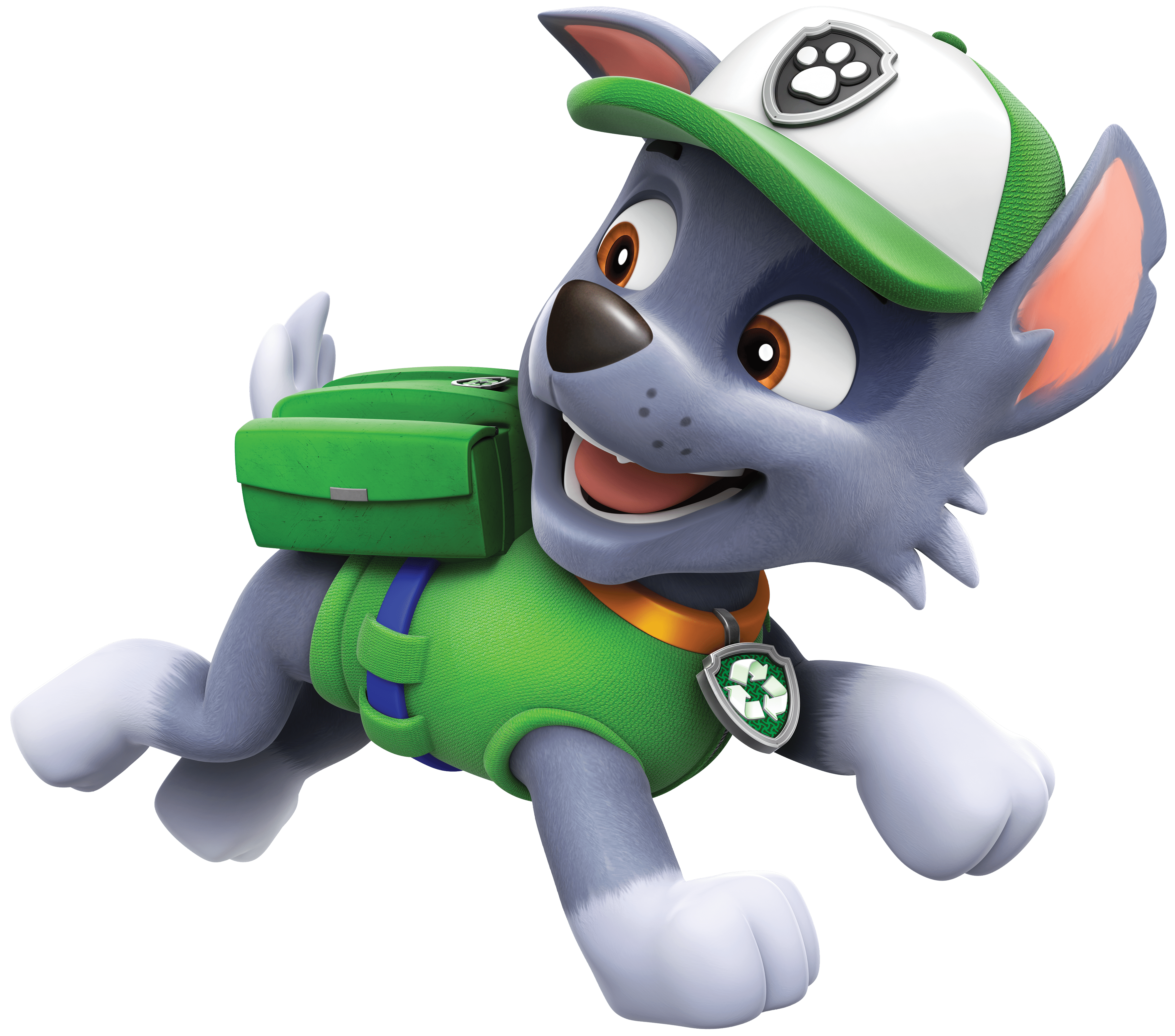 Рокки патруль. Рокки Щенячий. Щенок Рокки Щенячий патруль. Paw Patrol Рокки. Щенячий патруль Рокки зеленый.