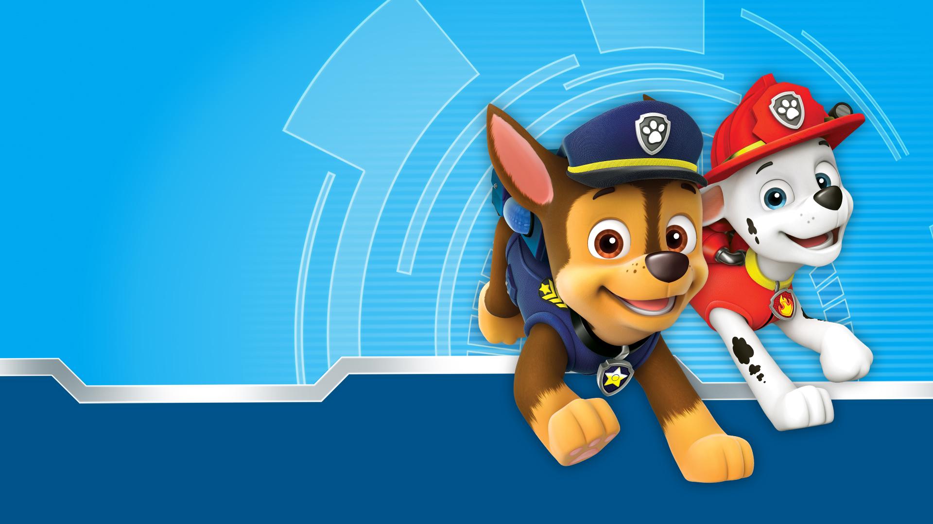 Rocky Paw Patrol Wallpapers Top Free Rocky Paw Patrol Backgrounds Wallpaperaccess