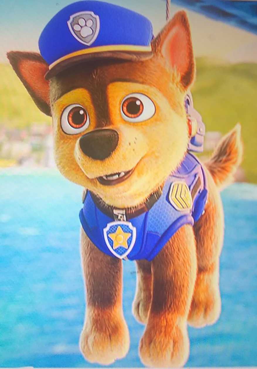 877x1258 Paw Patrol Wallpaper