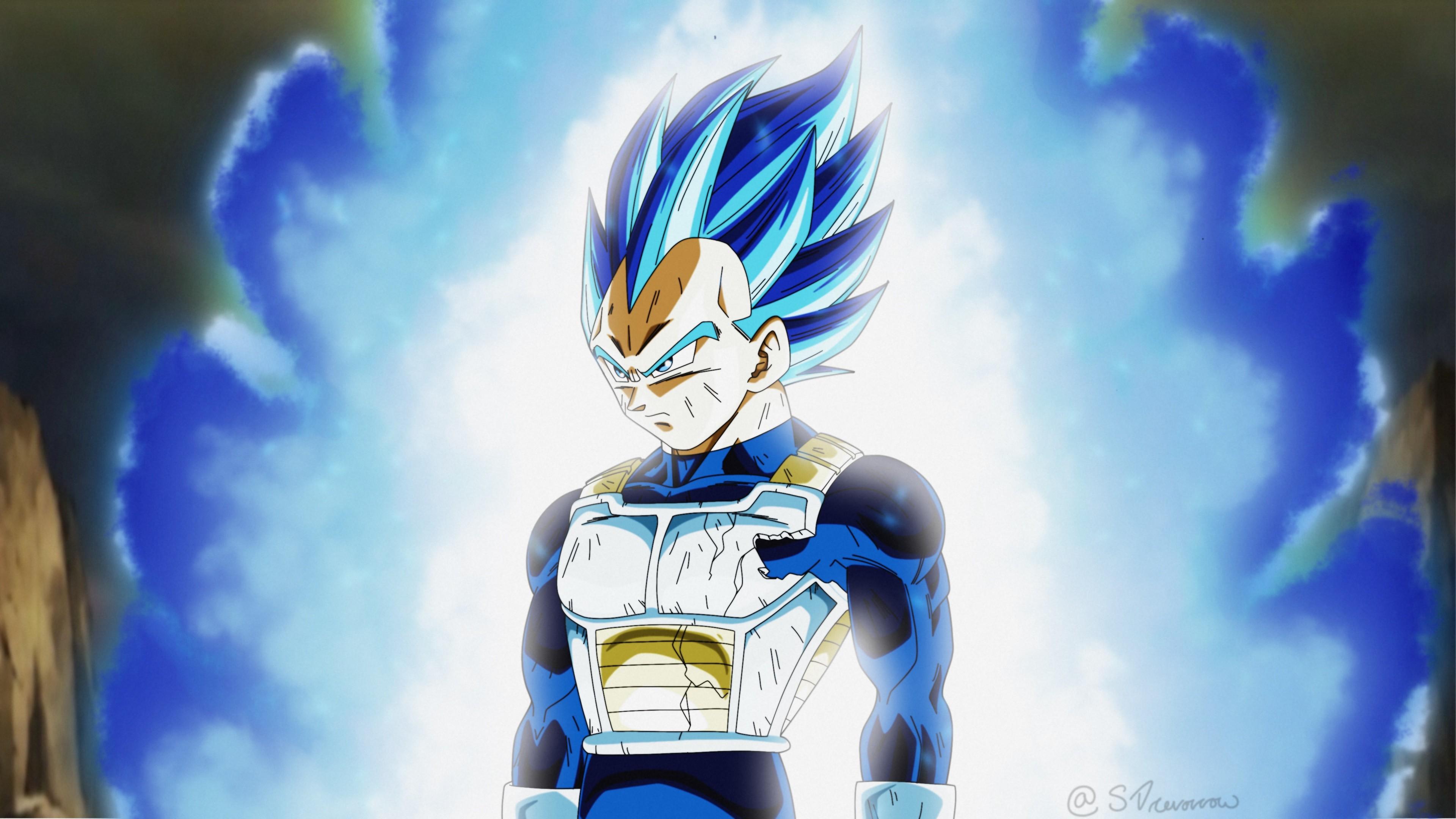 vegeta in the rain