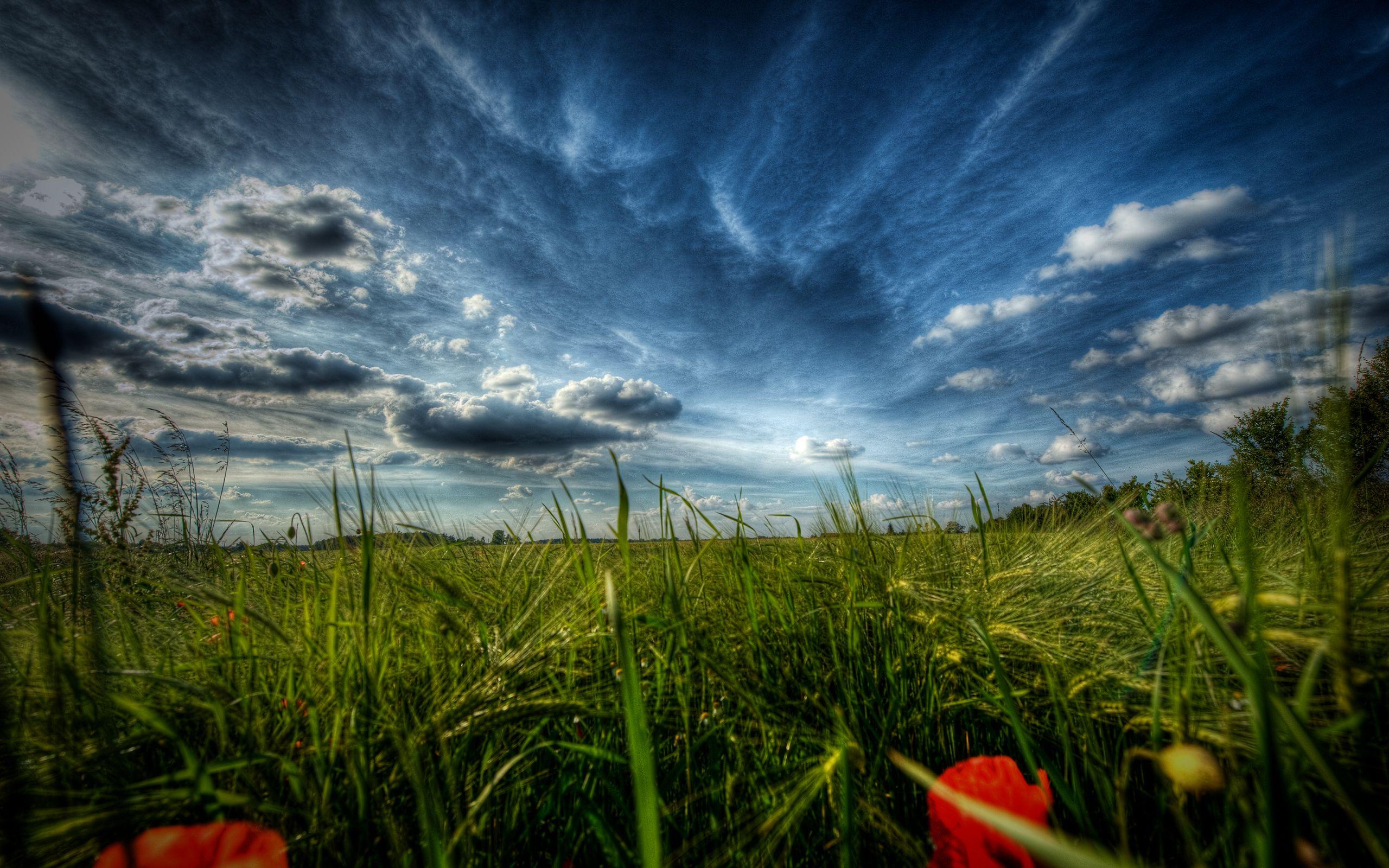 2560x1600 Free download Nature Majestic Skies Part IV created by myINQI picture nr 58188 [2560x1600] for your Desktop, Mobile & Tablet. Explore Majestic Wallpaper. Superfresco Easy Wallpaper