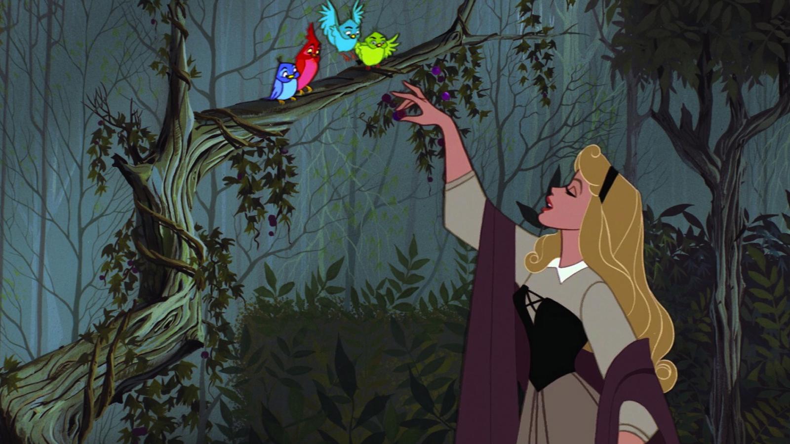 1600x900 Work and Magical Domesticity in Disney's Sleeping Beauty