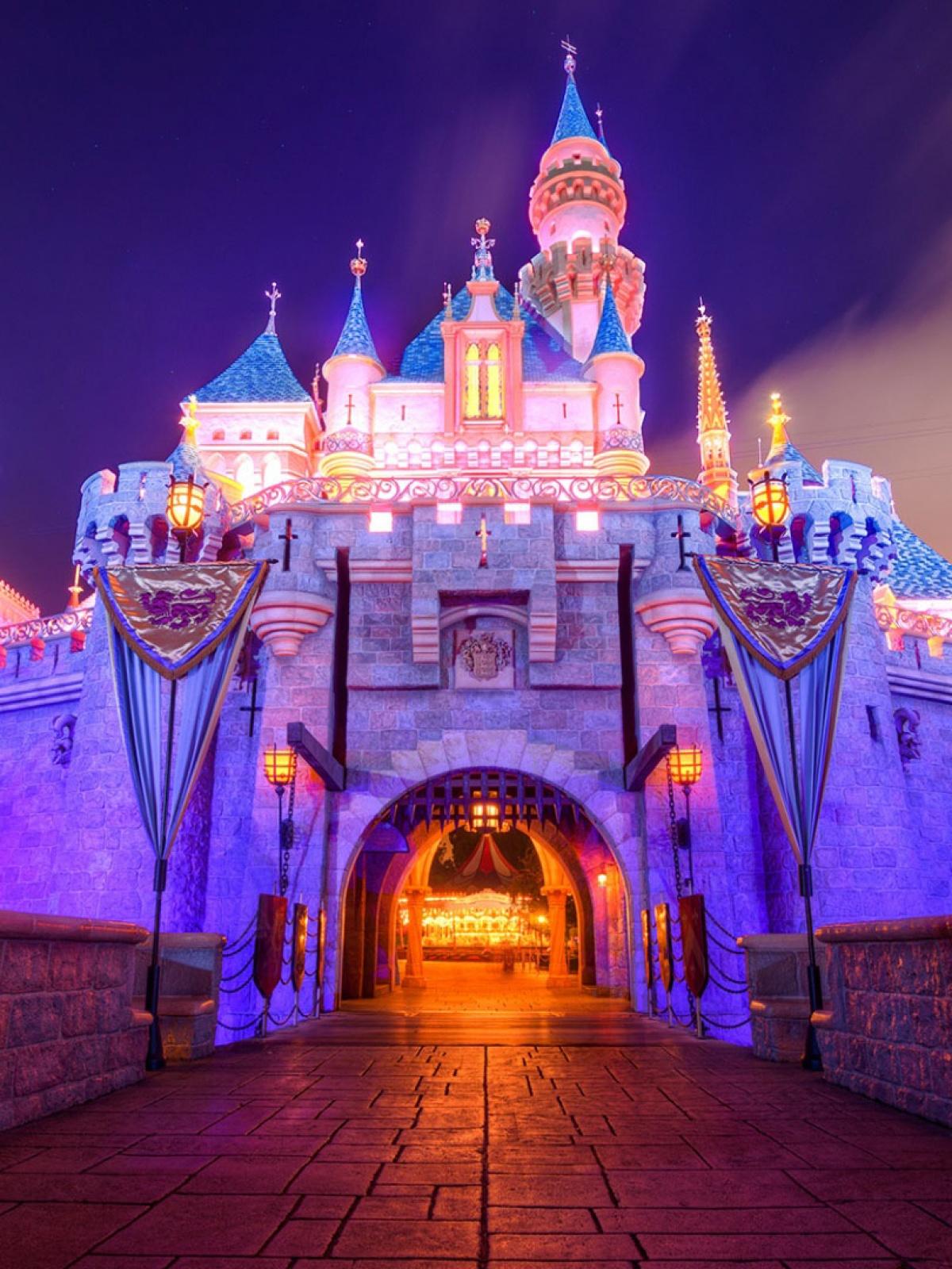 1200x1600 Sleeping Beauty Castle Mobile Wallpaper