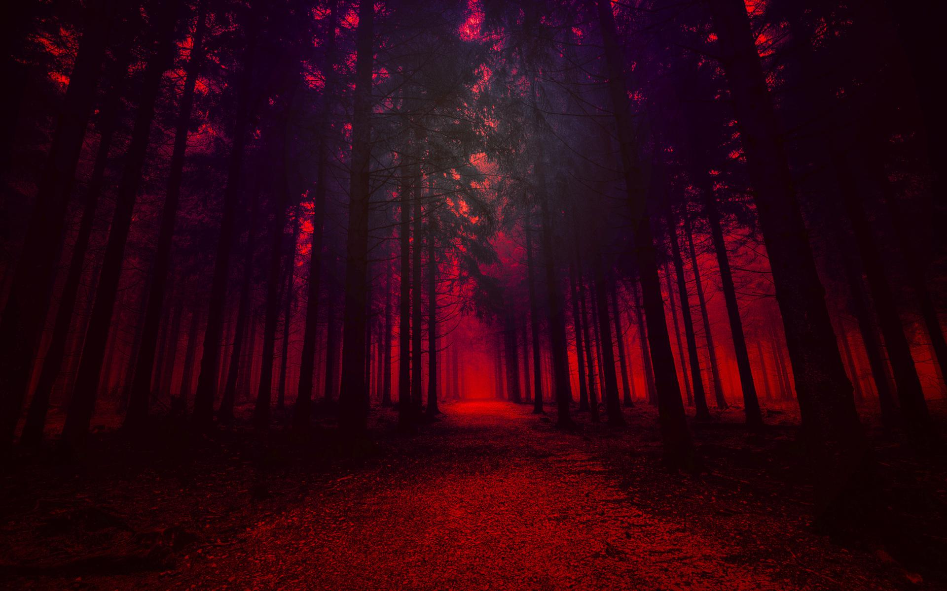 1920x1200 Artistic Red Forest 1080P Resolution HD 4k Wallpaper, Image, Background, Photo and Picture