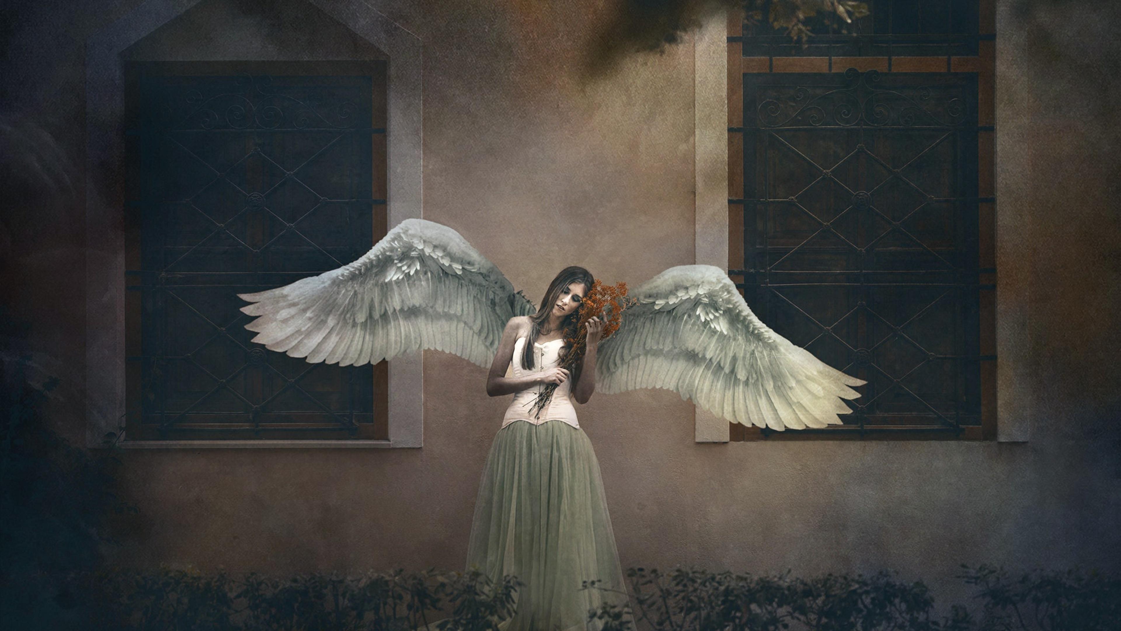 3840x2160 Girl Angel Wings 4k HD 4k Wallpaper, Image, Background, Photo and Picture