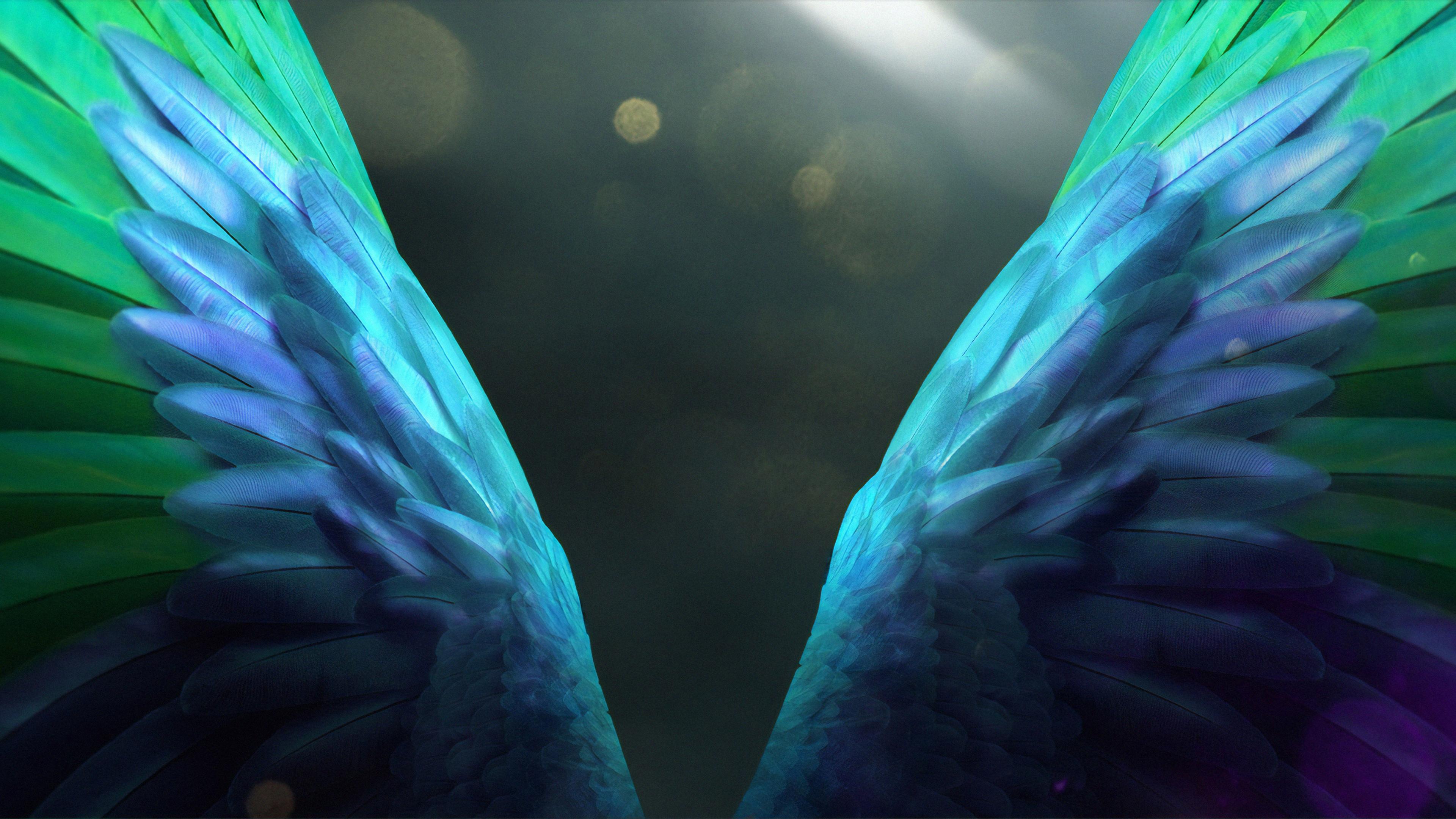 3840x2160 Angel Wings Nature Rush 4k 4k HD 4k Wallpaper, Image, Background, Photo and Picture