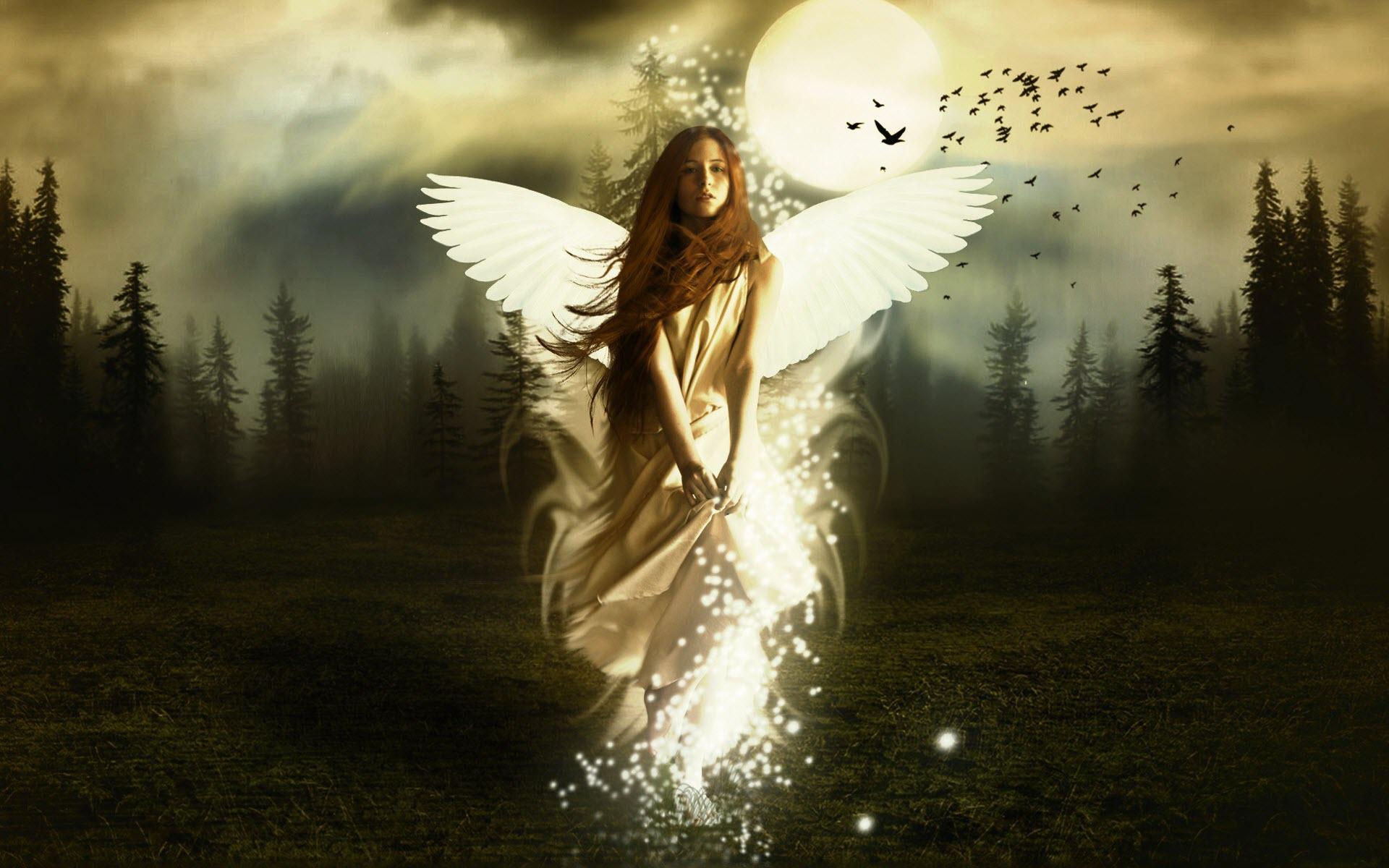 1920x1200 Free Wallpaper Angel Wings