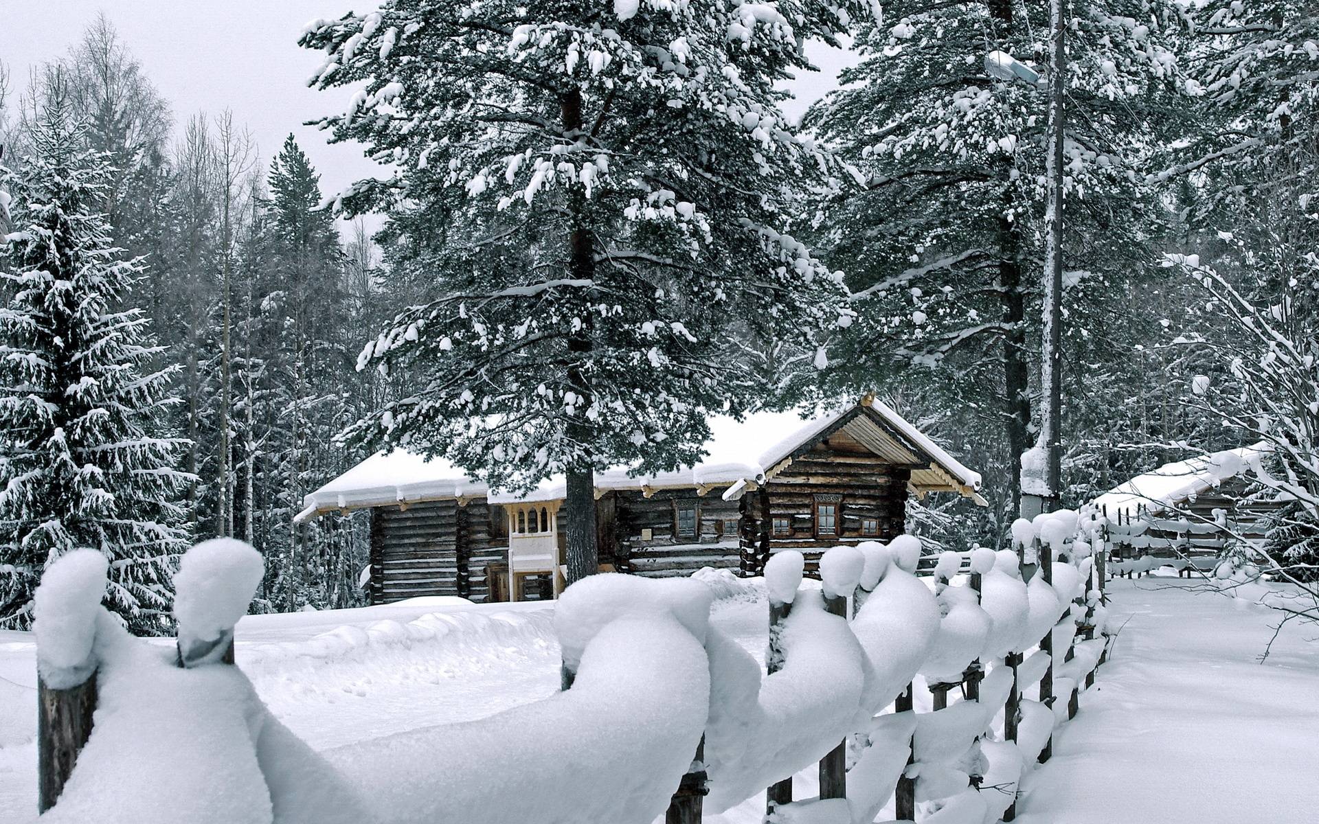 1920x1200 Free download Korea in Winter Desktop Wallpaper Top Korea in Winter [1920x1200] for your Desktop, Mobile & Tablet. Explore Free Desktop Wallpaper Winter. Winter Wallpaper