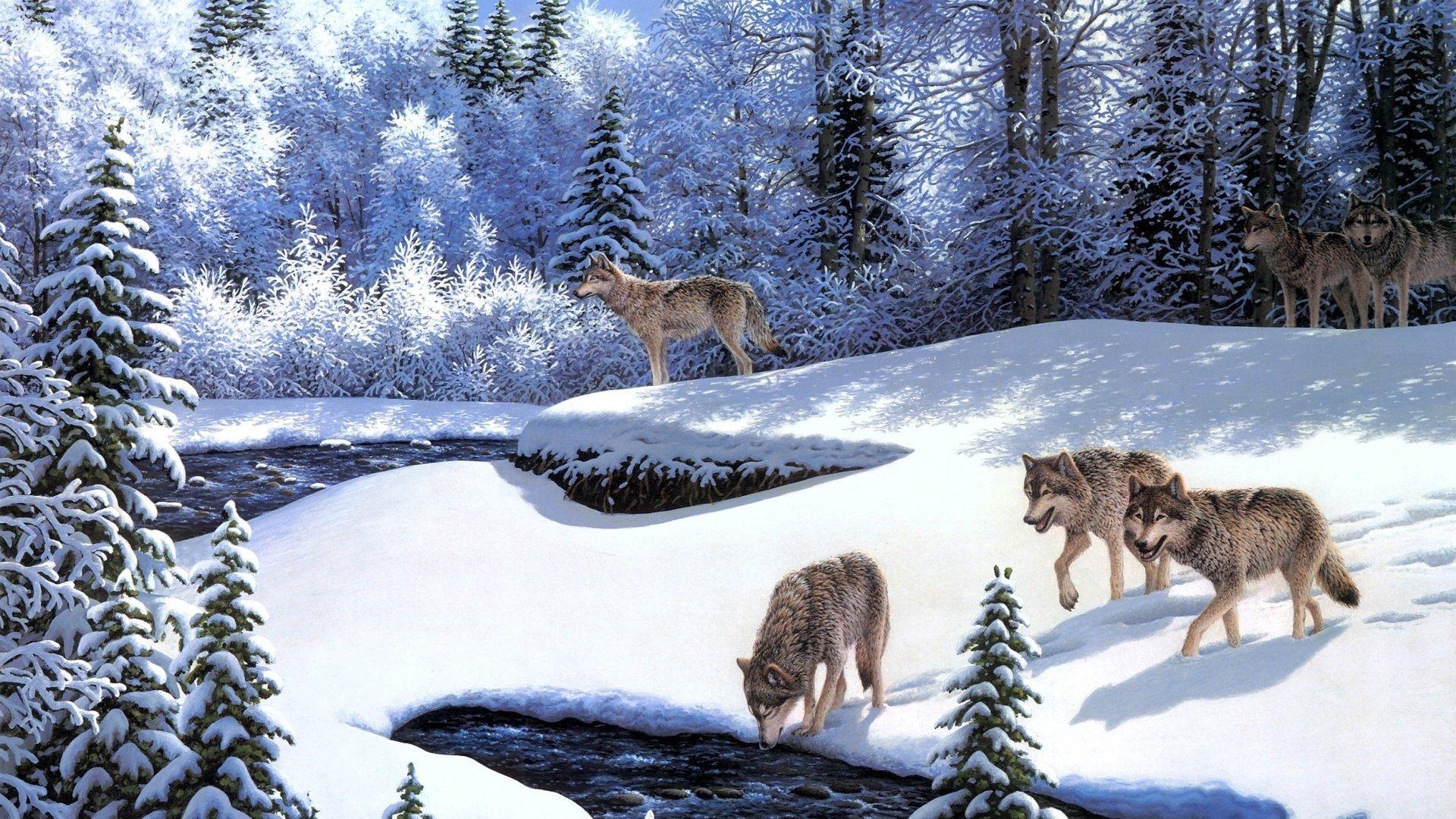 1920x1080 Wolf winter r wallpaperx1080