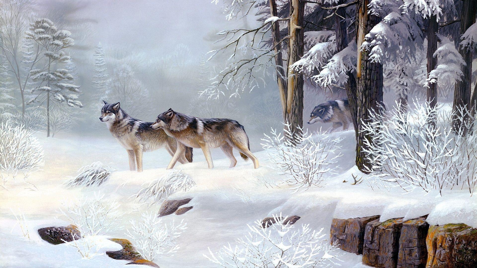 1920x1080 Free download 50 Winter Wolves Wallpaper Download [1920x1080] for your Desktop, Mobile & Tablet. Explore Winter Download Wallpaper. HD Wallpaper Downloads Free, Free Desktop Themes Wallpaper Downloads, Free Wallpaper Downloads