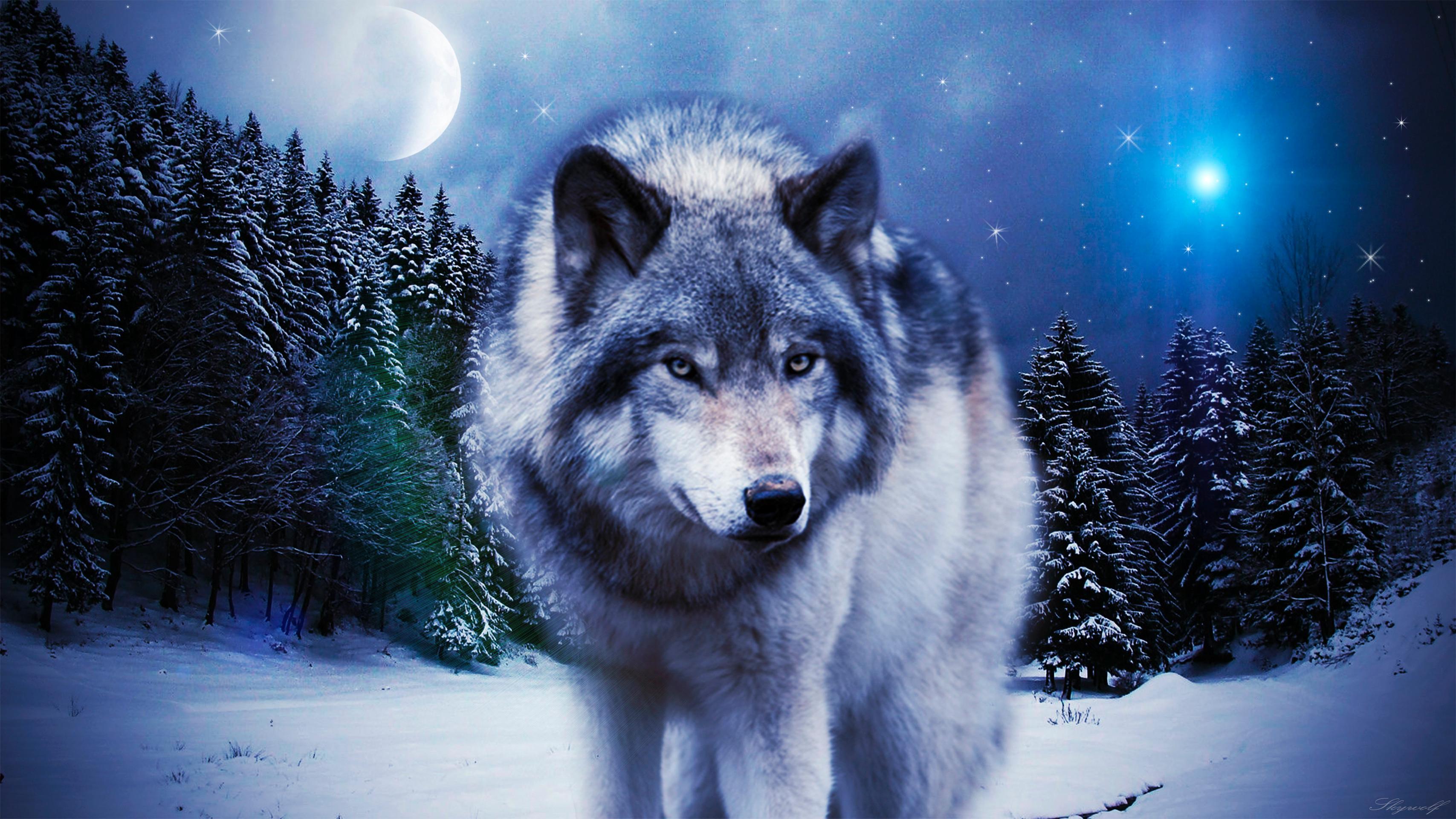 3415x1920 Wolf In The Winter Wallpaper & Background Download