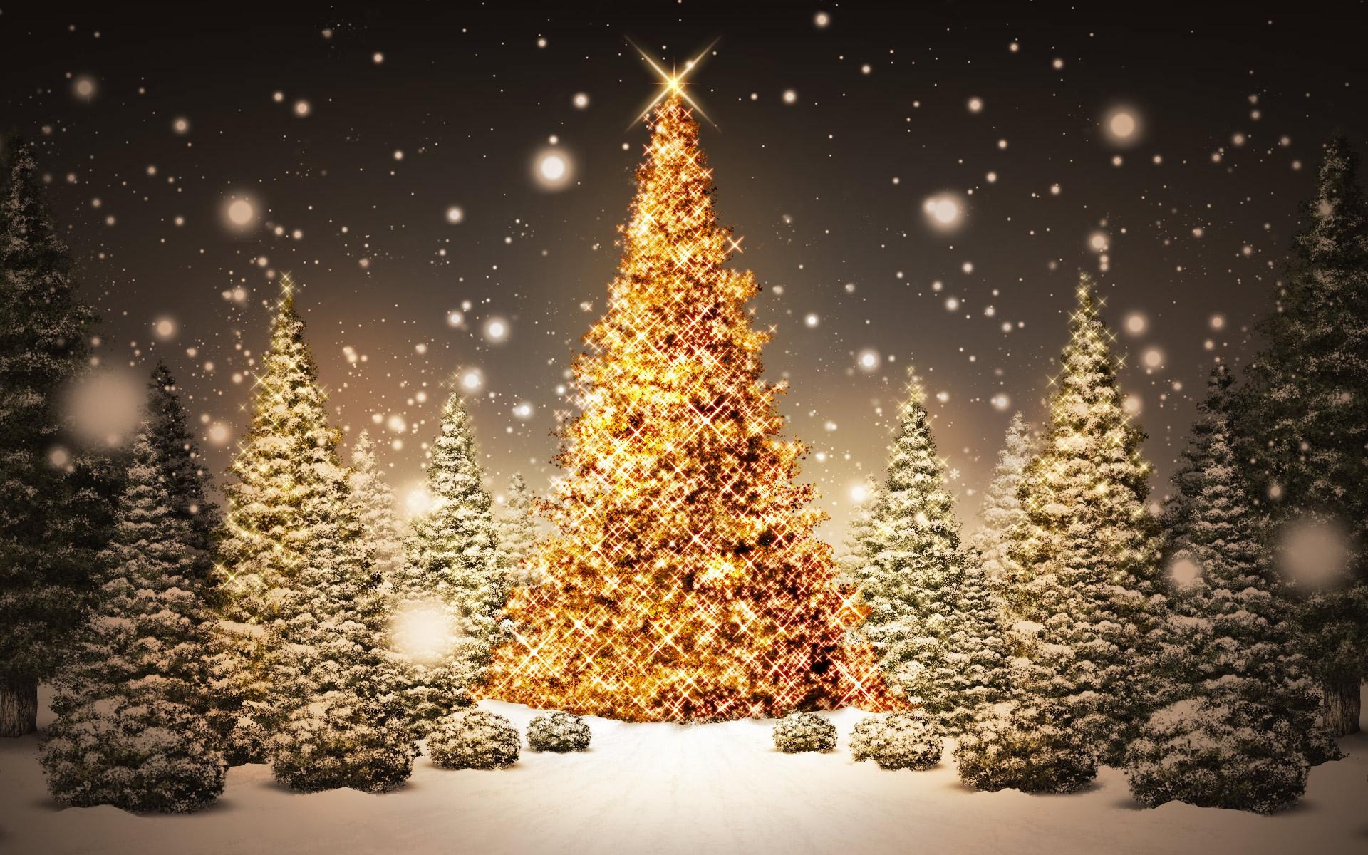 1920x1200 Christmas Tree wallpaper. Christmas Tree