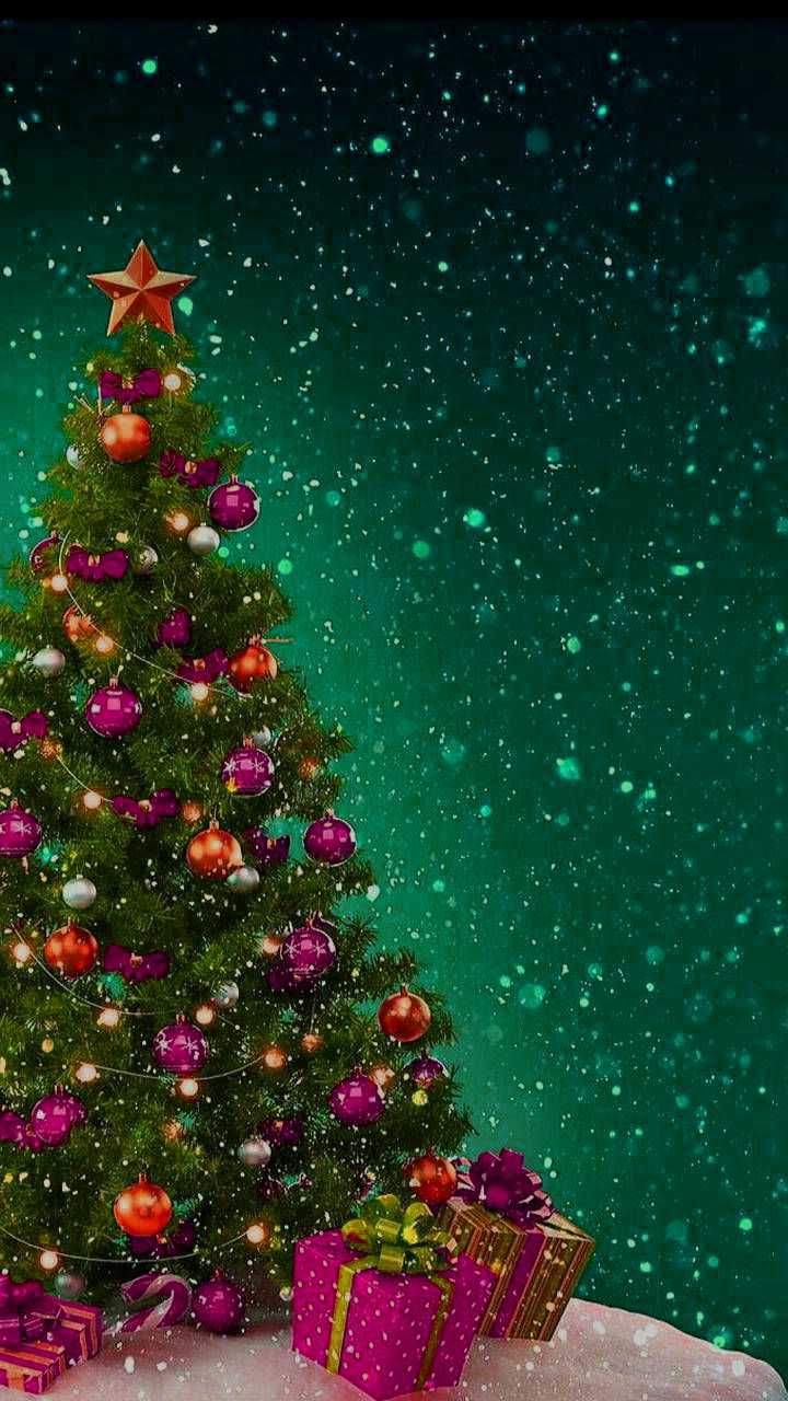 Fir Tree Wallpapers - Top Free Fir Tree Backgrounds - WallpaperAccess