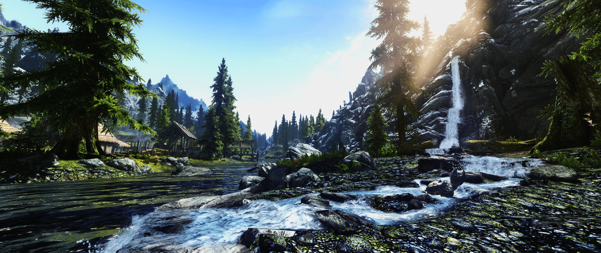 1920x810 Pine Tree HD Wallpaper and Background Image