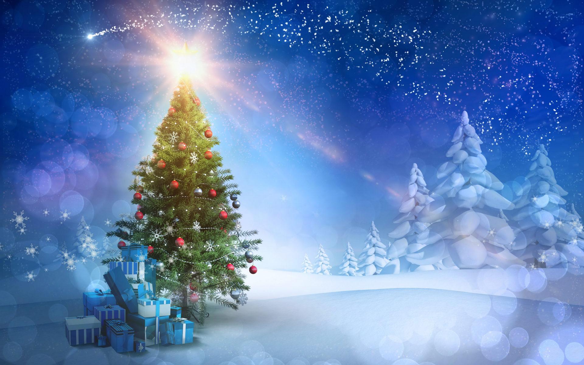1920x1200 Christmas Tree Decorations Gifts Forest Winter Snow Snow Wallpaper HD :