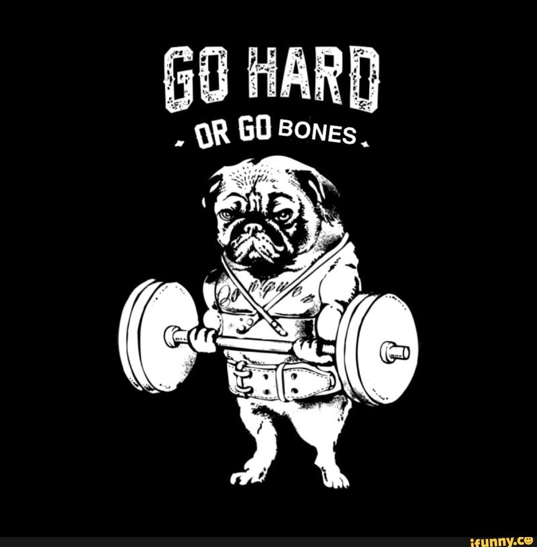 Go Hard Or Go Home Wallpapers - Top Free Go Hard Or Go Home Backgrounds ...