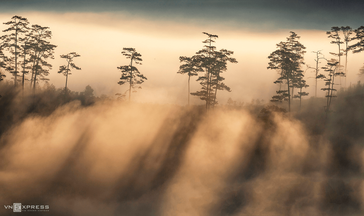1200x712 City in the clouds epic photo of Dalat s misty season Breaking News, Latest World News Updates Viet Nam