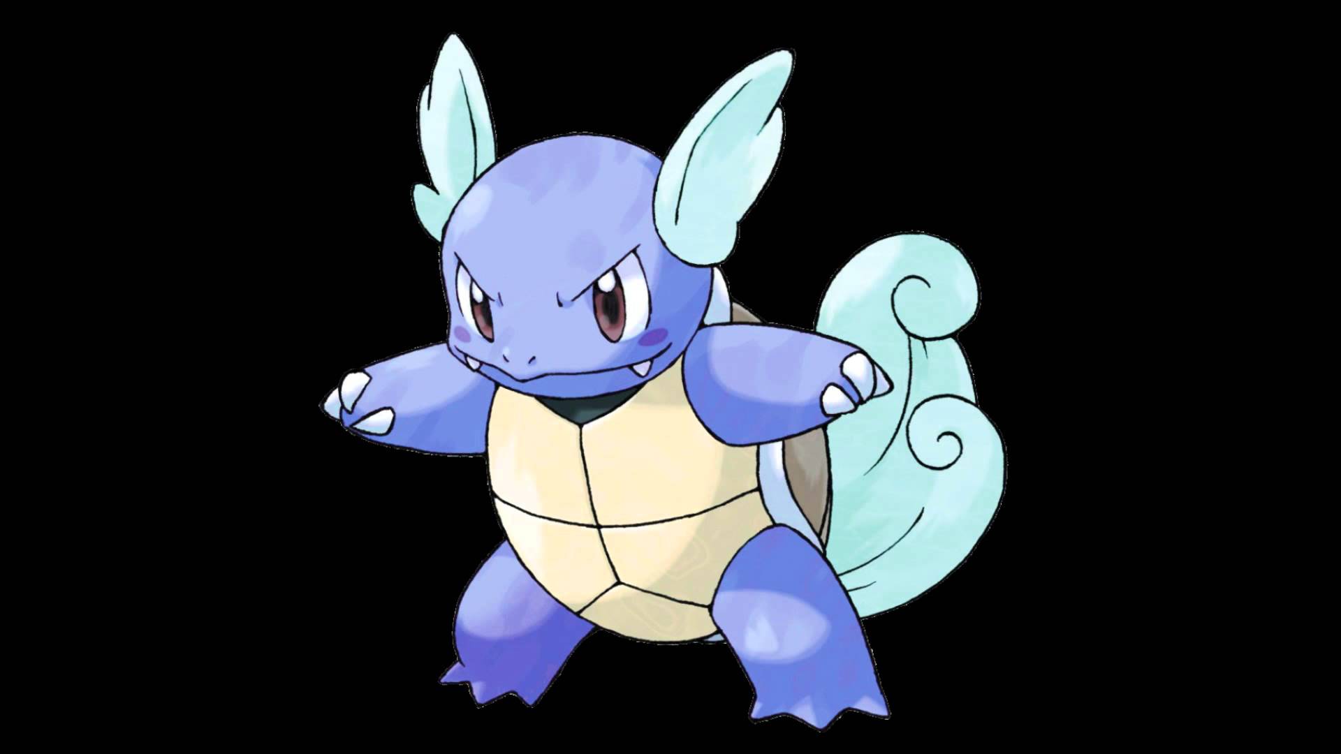 1920x1080 Wartortle HD Wallpaper