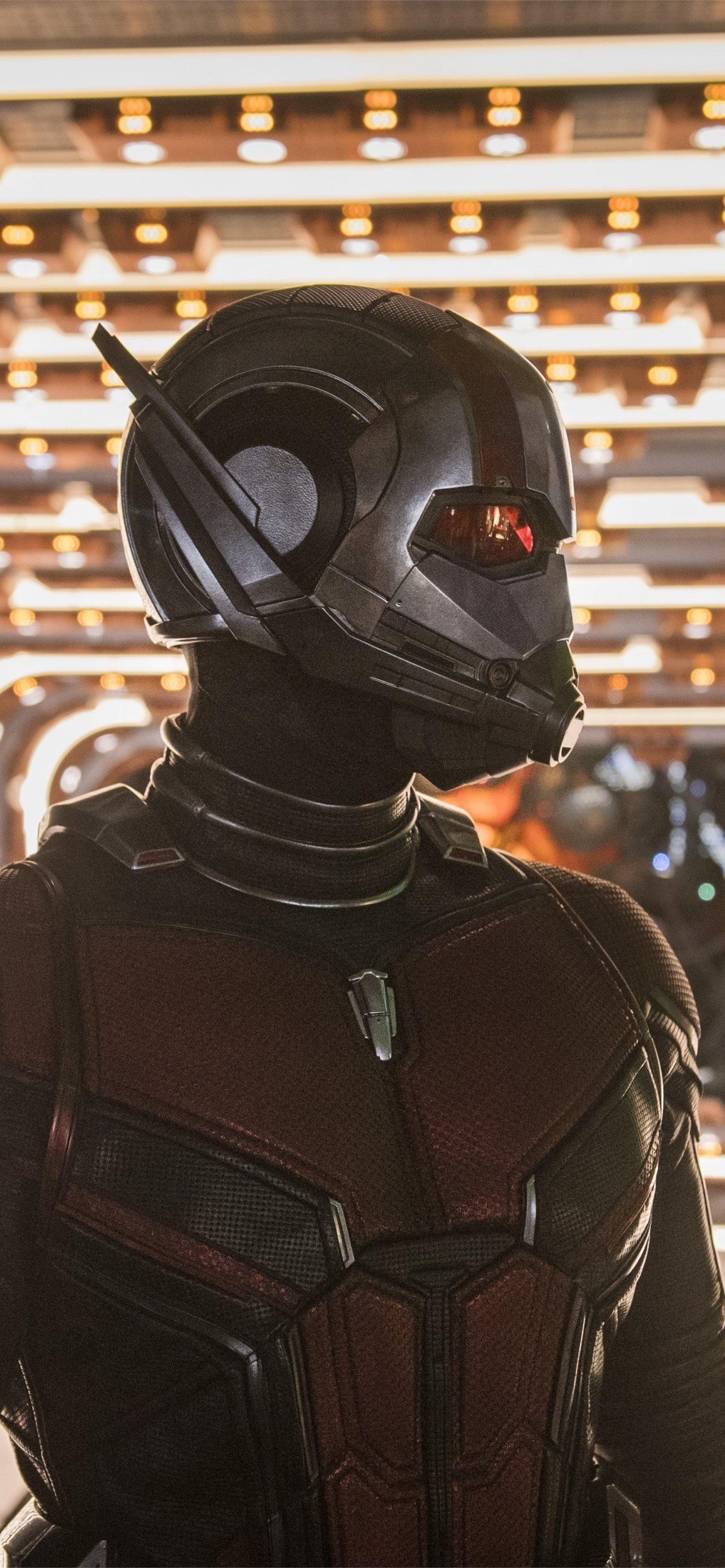 1284x2778 ant man and the wasp 2018 iPhone Wallpaper Free Download