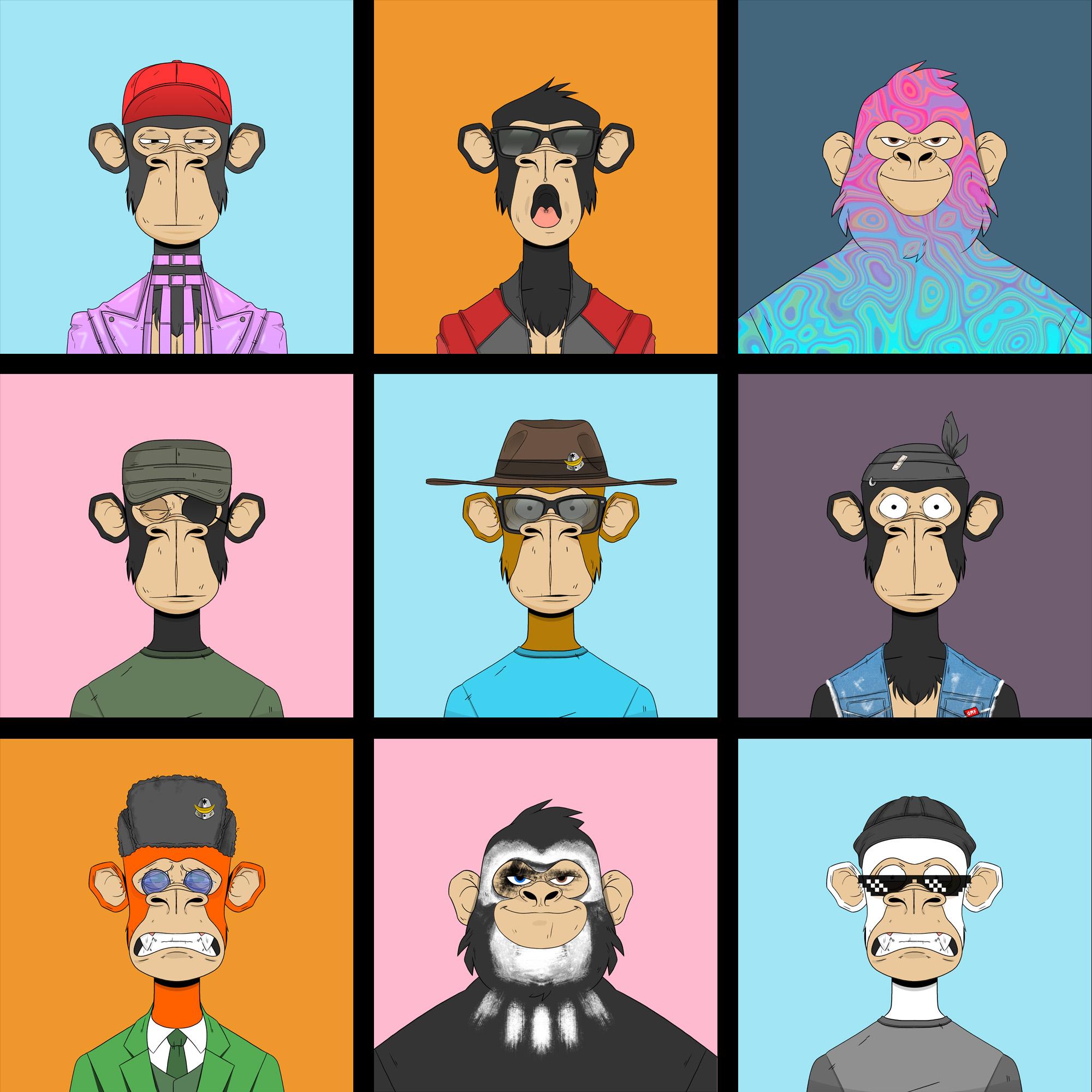 NFT Monkey Wallpapers - Top Free NFT Monkey Backgrounds - WallpaperAccess