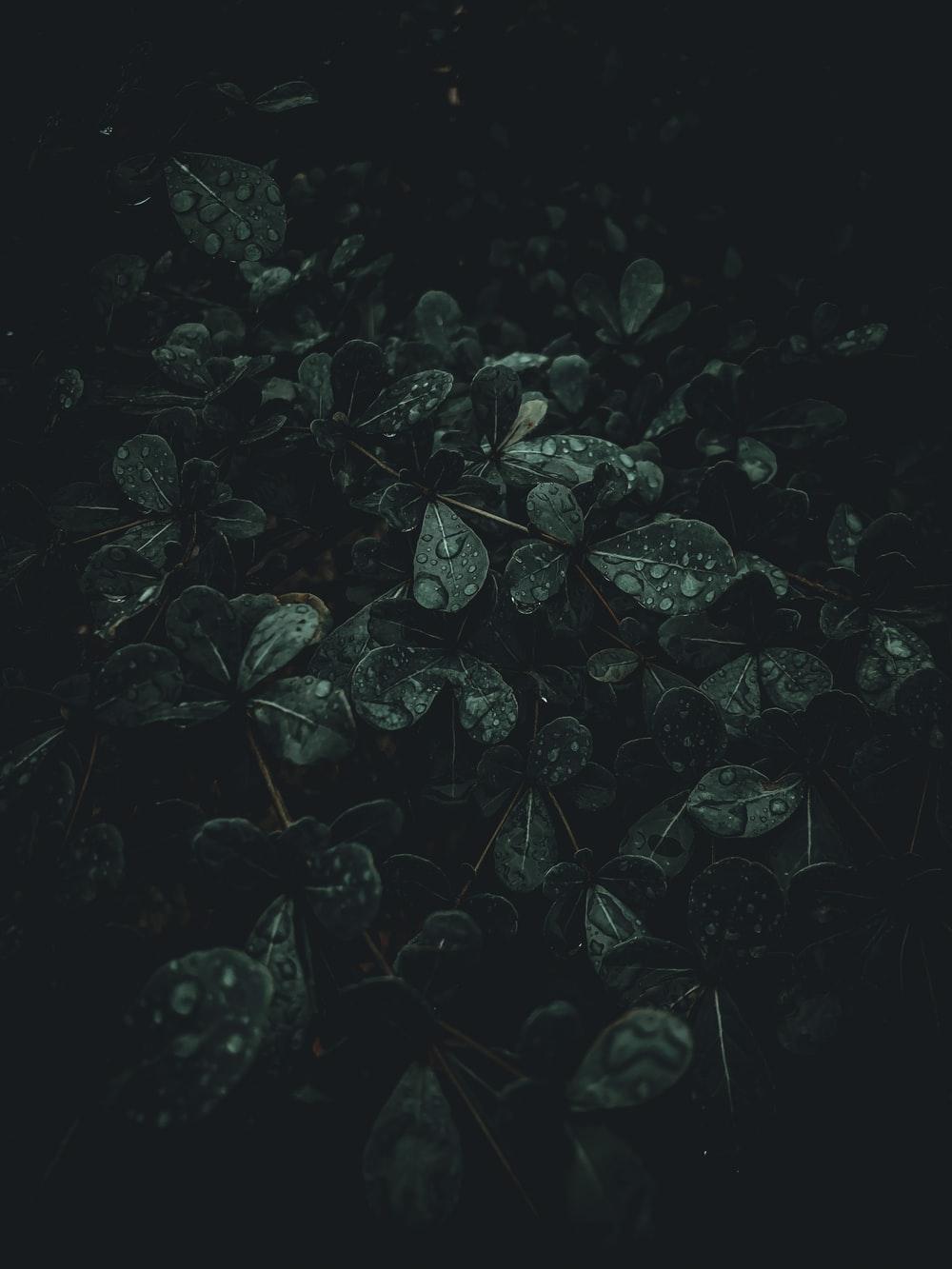 Dark Moody Wallpapers - Top Free Dark Moody Backgrounds - WallpaperAccess