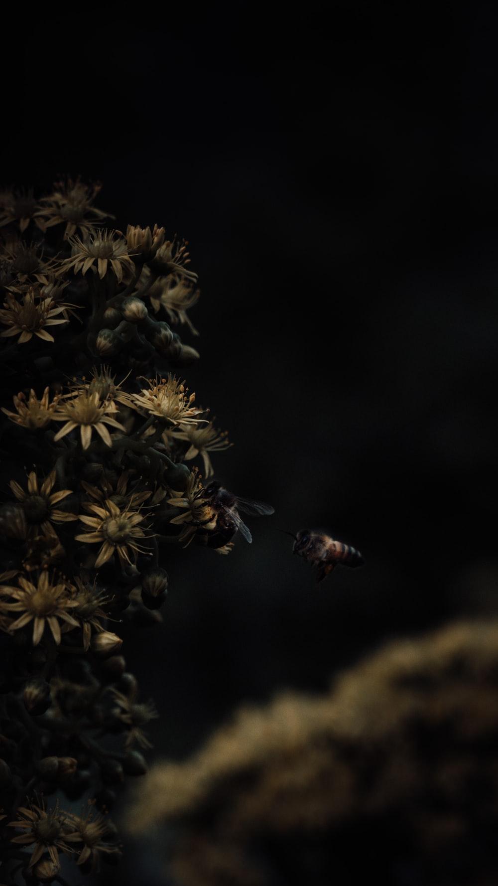 Dark Moody Wallpapers Top Free Dark