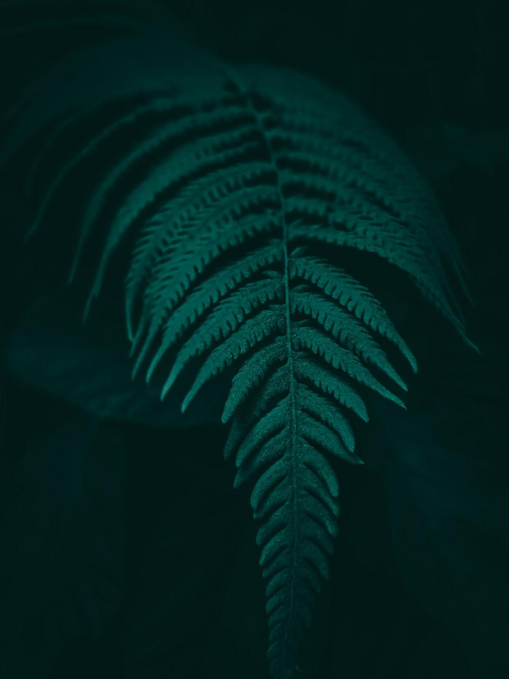 1000x1333 Moody Wallpaper Picture. Download Free Image