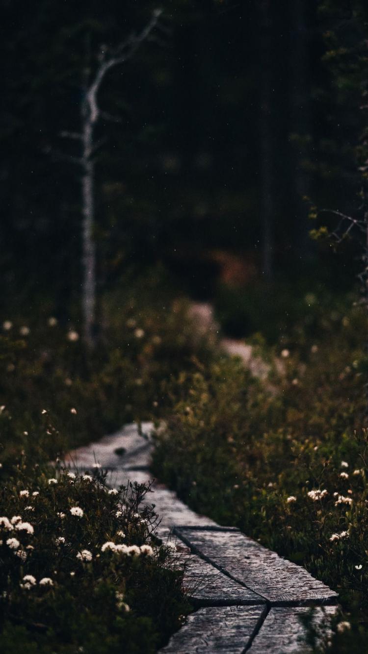 Dark Moody Wallpapers Top Free Dark