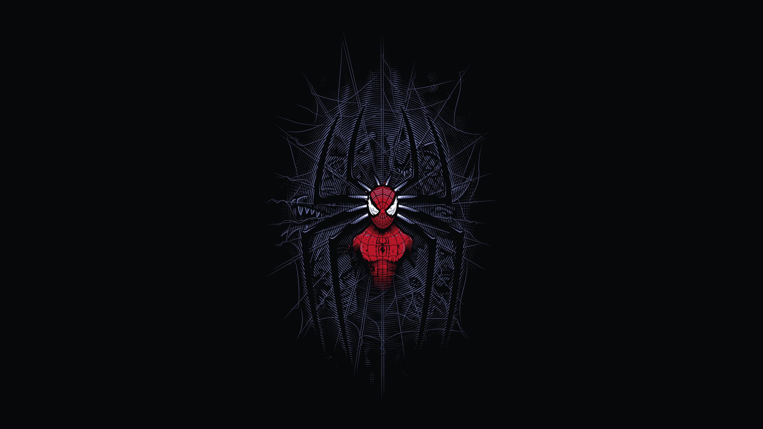 2560x1440 Download Spider Man, Dark, Minimalist, Digital Art 2560x1440 Wallpaper, Dual Wide 16:9 2560x1440 HD Image, Background, 15093