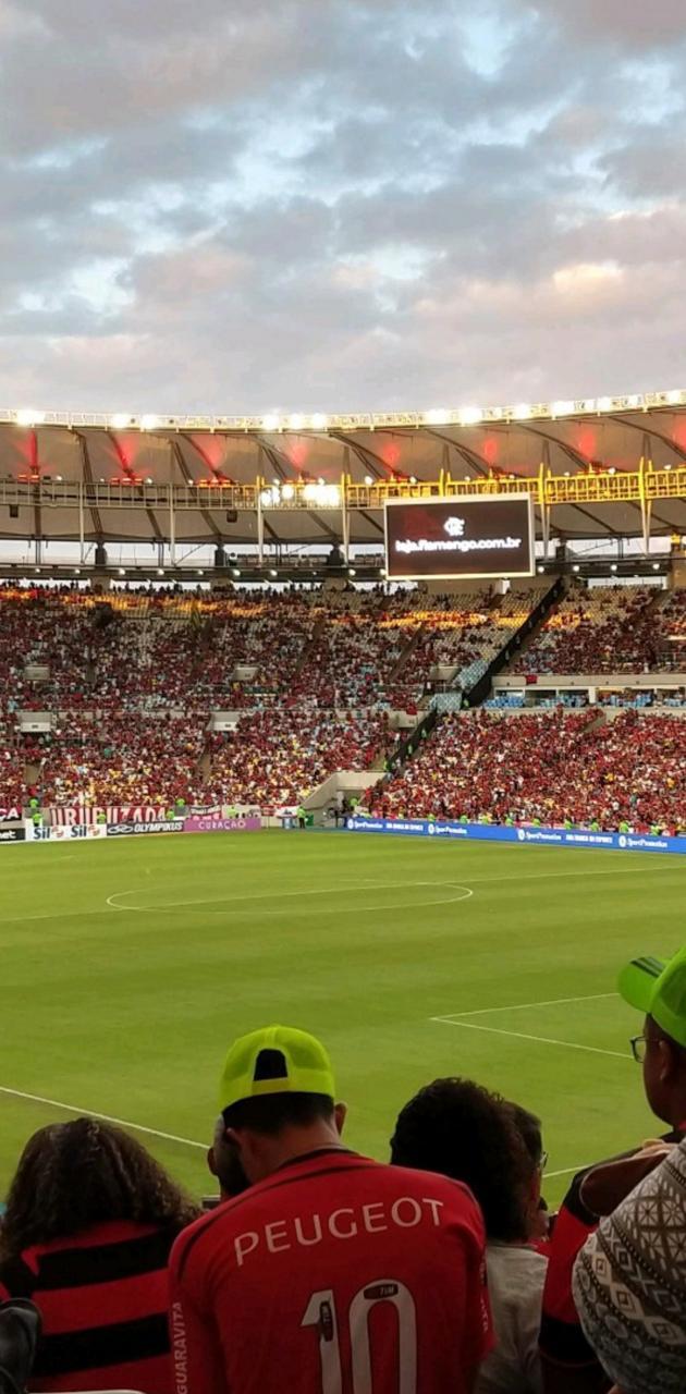 630x1280 Maracana wallpaper