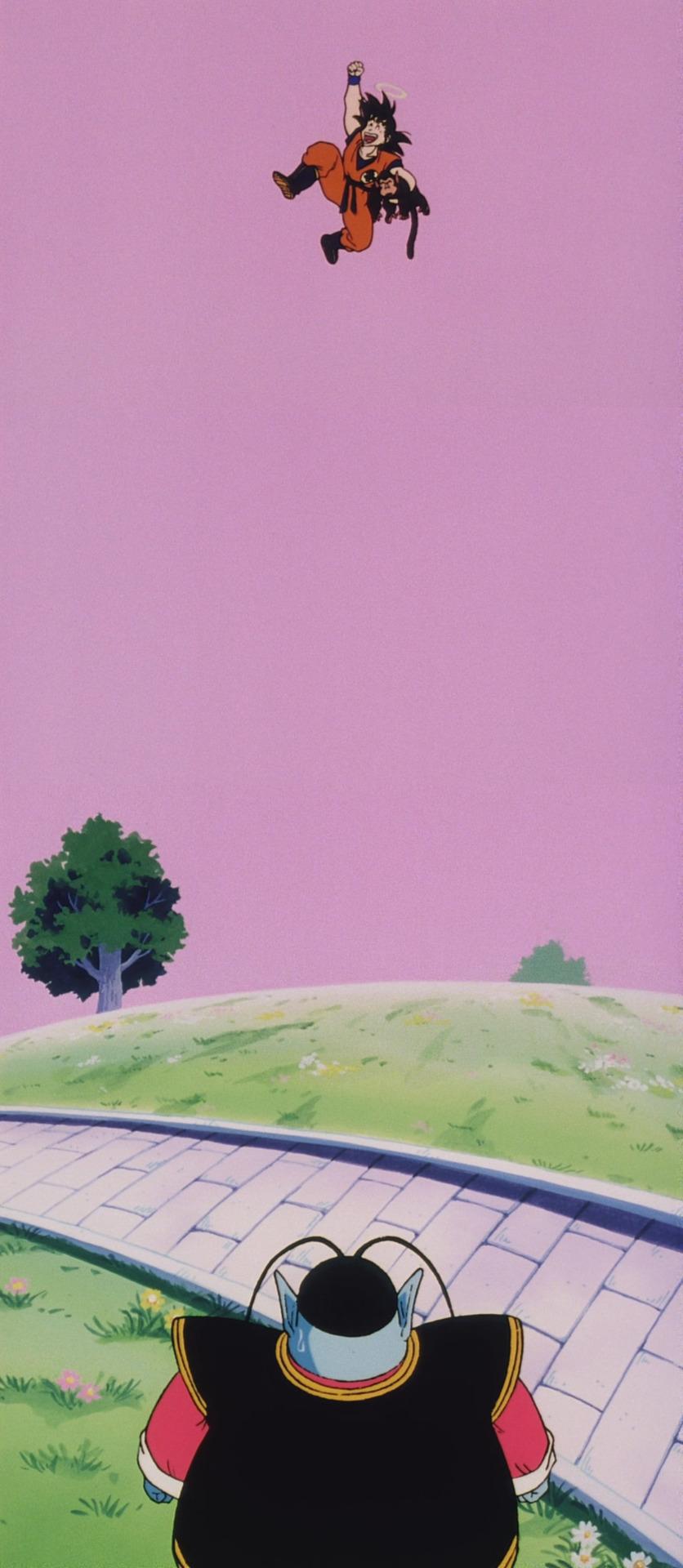 836x1920 La La DBZ Land
