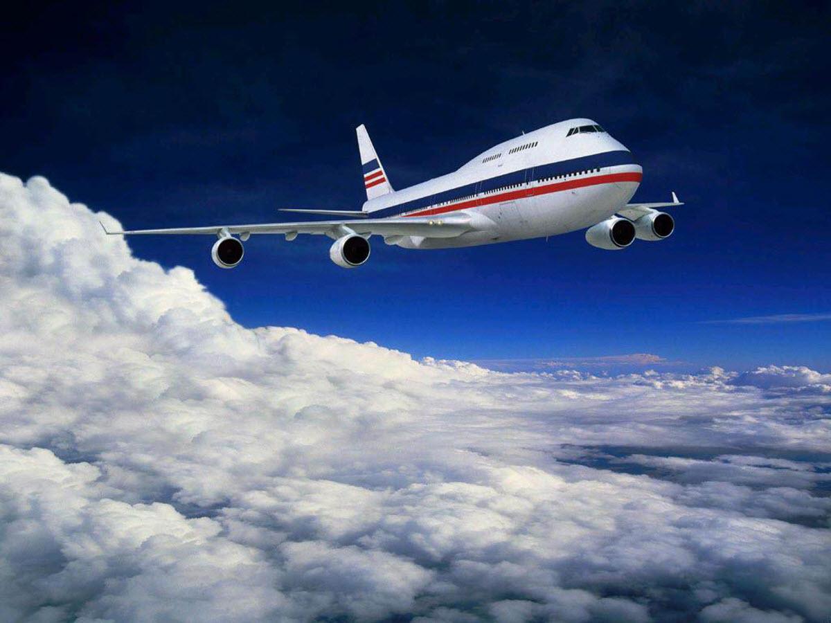 1200x900 Daigon Airfreight