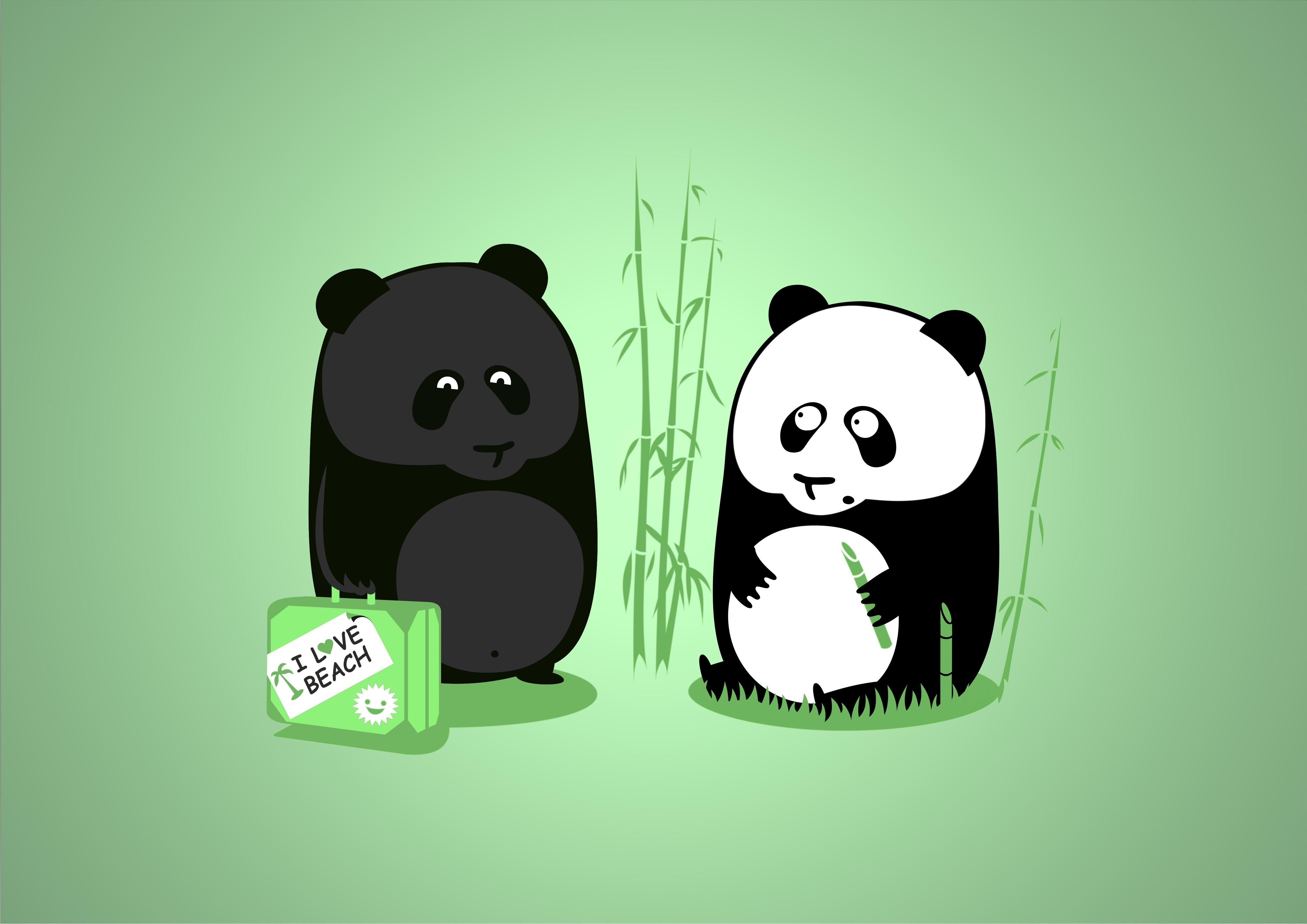 4963x3509 Panda 4k Ultra HD Wallpaper