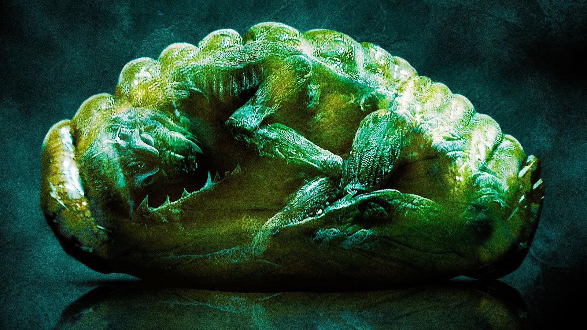1920x1080 Mimic HD Wallpaper